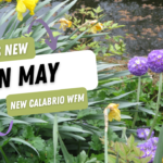 New Calabrio (formally Teleopti) WFM – What’s new in May 2022