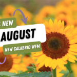 New Calabrio WFM (formerly Teleopti) – What’s new in Aug 22?